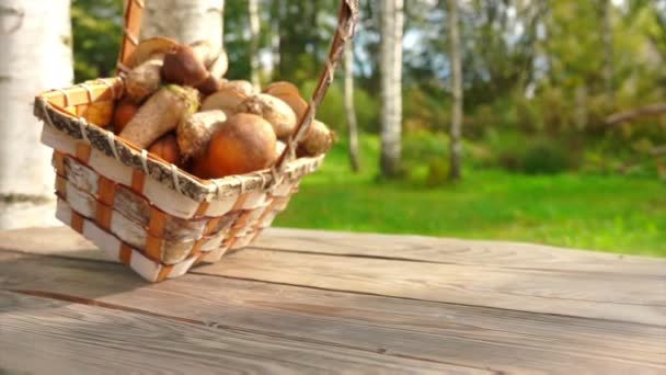 Os cogumelos caem de uma cesta em uma mesa de madeira — Vídeo de Stock