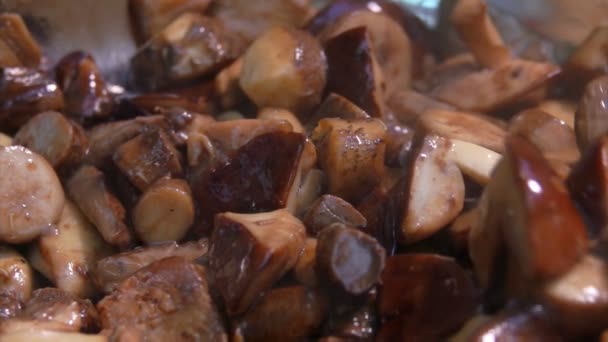 美味的蘑菇在平底锅里炖 — 图库视频影像