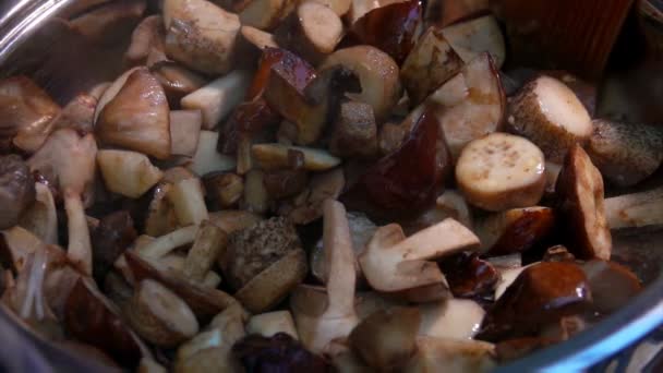 Close-up de cogumelos virado com uma espátula — Vídeo de Stock