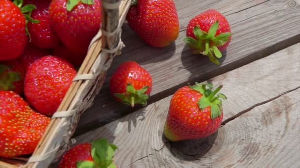 Holztisch mit Korb voller roter Erdbeeren — Stockvideo