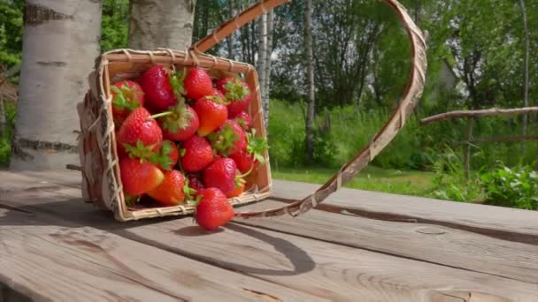 Erdbeeren fallen auf einen Tisch und rollen vorwärts — Stockvideo