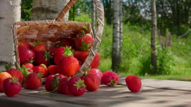 Fresas en canasta de mimbre sobre la mesa de madera — Vídeo de stock