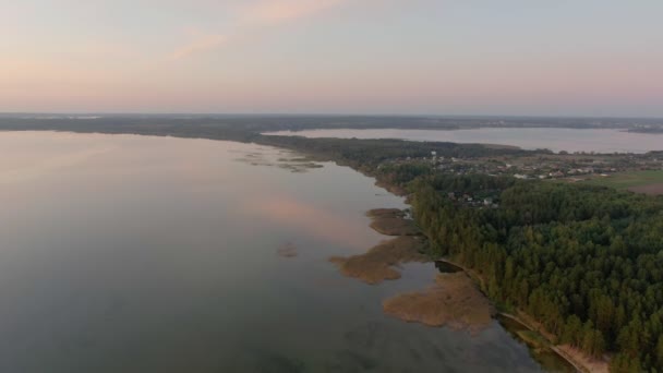 Veduta aerea di un bellissimo lago con pineta — Video Stock