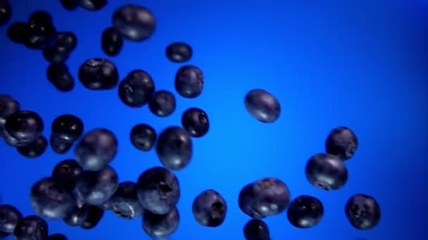 大蓝莓在慢动作中飞行 — 图库视频影像
