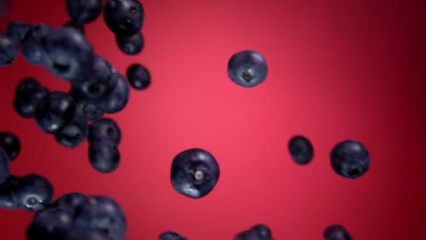 Big Blueberry pływające na czerwonym tle — Wideo stockowe