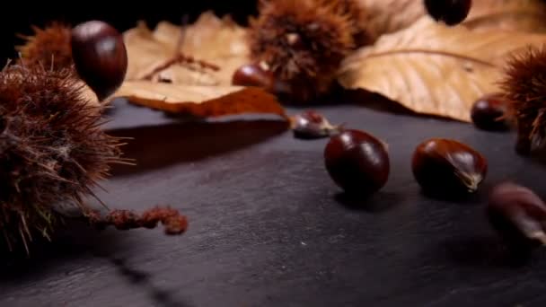 Castagne mature fresche che cadono sulla superficie nera — Video Stock