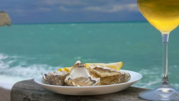 Vista al mar con ostras frescas y vino blanco — Vídeo de stock