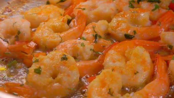 Delicious shrimp stewed in boiling sauce with herbs — Stock Video