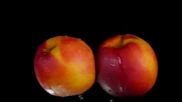 Two sweet peaches collide on black background — Stock Video