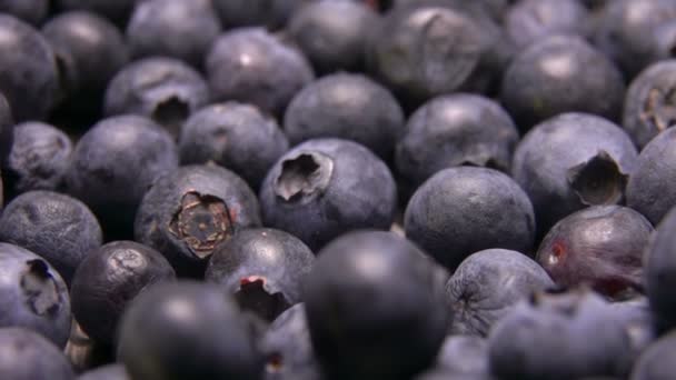 Big blueberries fall and bounce on the berries — Stock Video