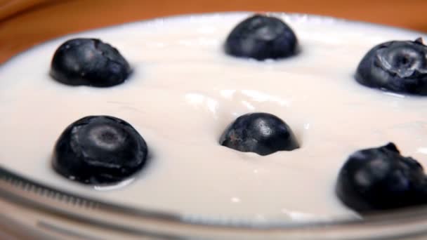 Спелые большие черники падают на йогурт — стоковое видео