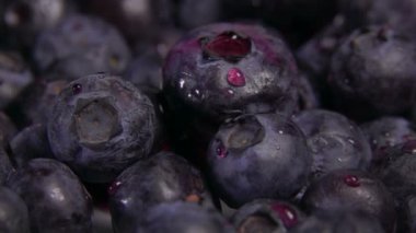 Su damlaları olgun, lezzetli yaban mersinlerinin üzerine düşer.