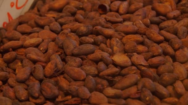 Granos de cacao marrón en tienda de chocolate — Vídeos de Stock