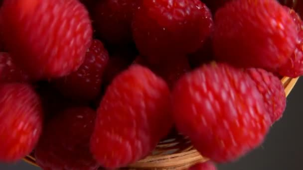 Large juicy raspberries falling from wicker basket — Stock Video