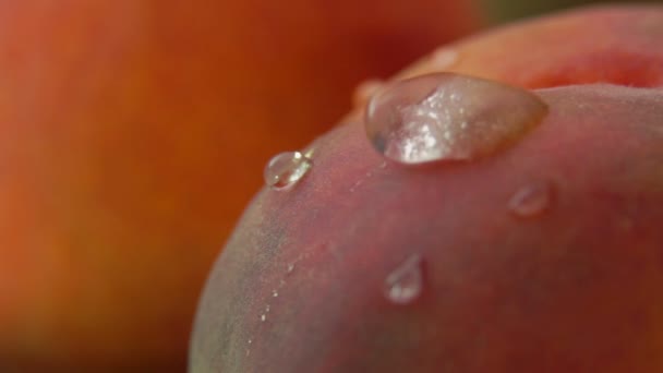 Luminosa gota de agua fluye por el melocotón — Vídeos de Stock