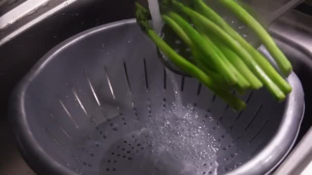 Caules cozidos de espargos são colocados em água fria — Vídeo de Stock