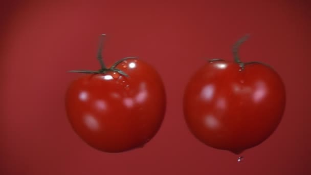 Two ripe tomatoes are colliding and raising dropes of water in slow motion — Stock Video