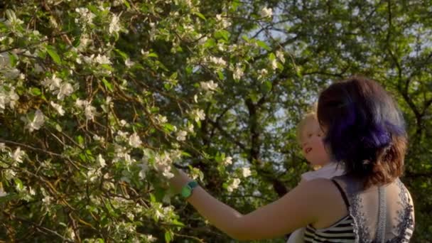 Mutter mit entzückender Tochter im weißen Kleid in ihren Händen schnüffelt Blumen — Stockvideo