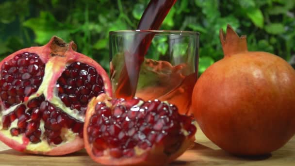 Pomegranate juice wave is falling into small glass on the background of greenery — Stock Video