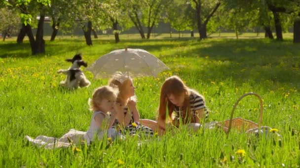 Three cute girls are sitting on the lawn in the garden and reading a book — Stock Video