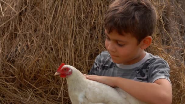 El granjero está sentado en un pajar acariciando un pollo. — Vídeo de stock