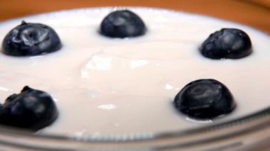 Büyük yaban mersinleri kaymak gibi taze yoğurdun üzerine yavaş yavaş dökülüyor.