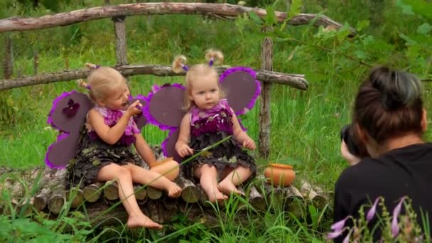 Female photographer takes pictures of cute girls playing purple butterflies — Stock Video