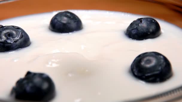 Primo piano di grandi mirtilli maturi che cadono sullo yogurt fresco cremoso — Video Stock