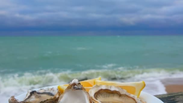 Närbild av en platta med färska ostron och citron på bakgrunden av havet — Stockvideo