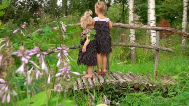 Две девушки в фиолетовых фантазийных платьях из листьев стоят на мосту — стоковое видео