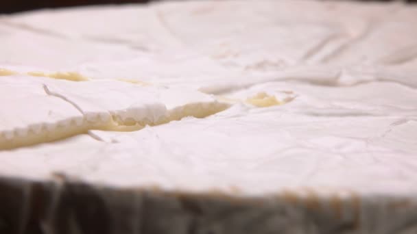 Közelkép egy finom lágy brie sajtról a fekete felületről — Stock videók