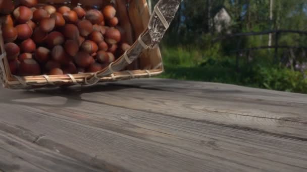 Haselnüsse springen aus dem Birkenkorb auf den Holztisch — Stockvideo