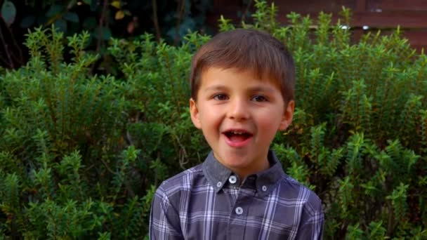Niño feliz aparece en el marco de la cámara desde abajo al aire libre — Vídeos de Stock