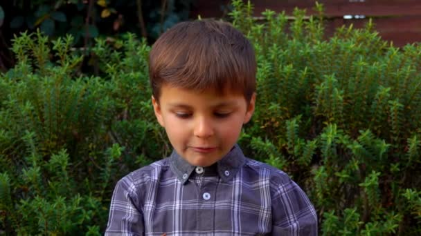 Netter kleiner Junge isst eine französische Mandelmakrone im Freien — Stockvideo
