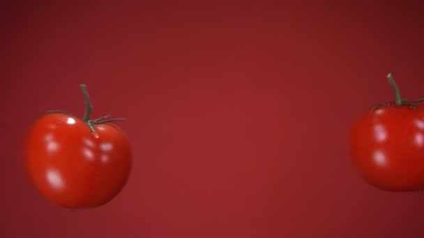 Två tomater flyger och roterar på den röda bakgrunden i slow motion — Stockvideo