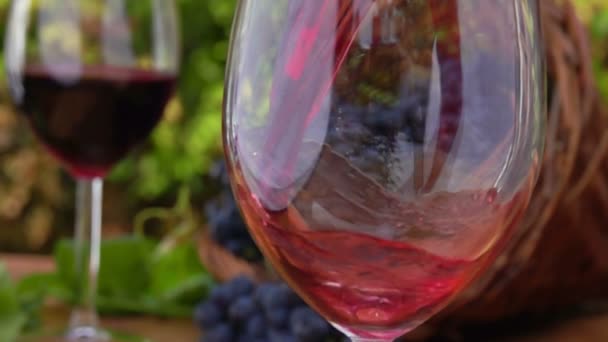 Primo piano del vino versato nel bicchiere sullo sfondo di uve viola scuro — Video Stock