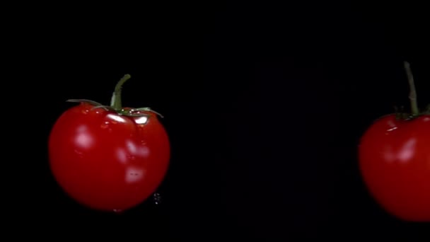 Два спелых красных сочных помидора сталкиваются на черном фоне — стоковое видео