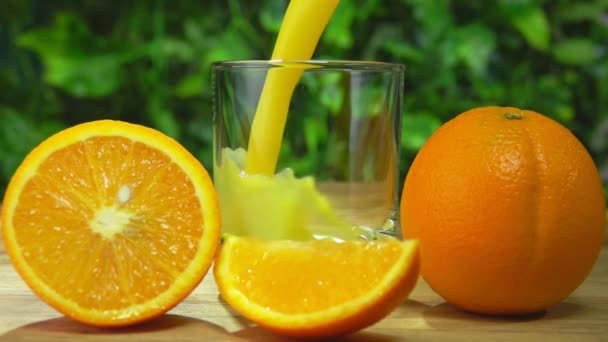 Fresh orange juice is poured in a glass on the background of greenery — Stock Video