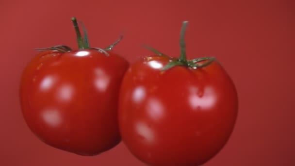 Zwei reife rote, saftige Tomaten kollidieren auf dem roten Hintergrund — Stockvideo