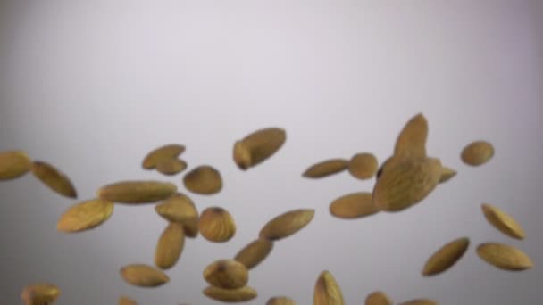 Close up of Almond bouncing against to the camera on a white background — Stock Video