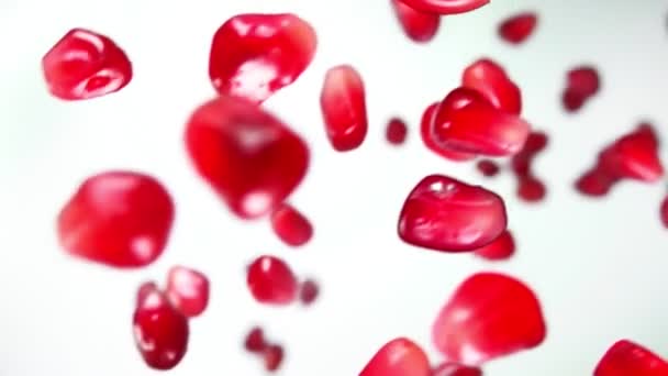 Juicy grains of ripe pomegranate are falling diagonally on the white background — Stock Video