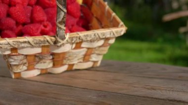 Huş ağacından düşen büyük, sulu, iştah açıcı ahududuları kapatın.