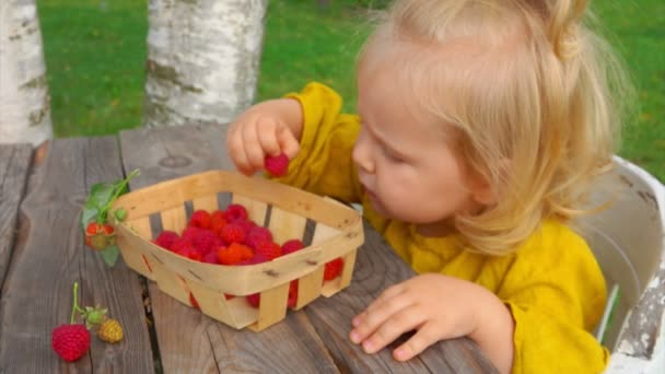 Schattig meisje eet frambozen uit mand — Stockvideo