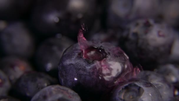 用慢动作在大蓝莓上滴下的浆果汁的特写 — 图库视频影像