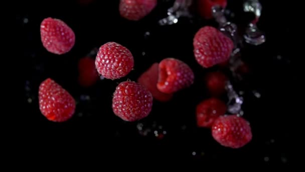 Large juicy appetizing raspberries bouncing with splashes of water — Stock Video