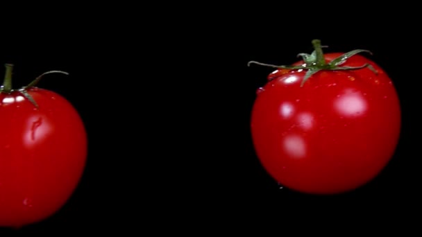 दोन परिपक्व लाल रसदार टोमॅटो काळ्या पार्श्वभूमीवर उड्डाण करीत आहेत आणि टक्कर देत आहेत — स्टॉक व्हिडिओ