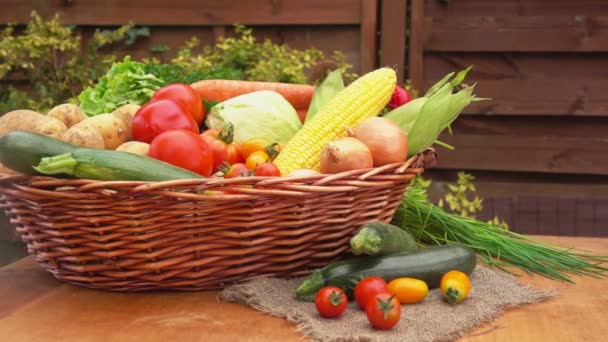 Wiklinowy kosz pełen dojrzałych warzyw sezonowych — Wideo stockowe
