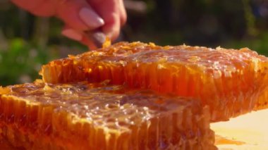 Balpeteklerinin bir kısmı güneşli bir yaz gününde ahşap masadan alınır.