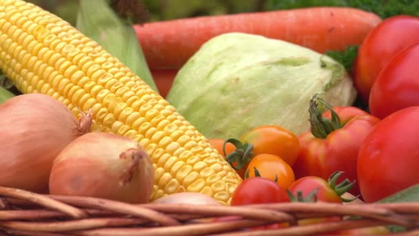 Zöldségek közeli panorámája fonott kosárban — Stock videók