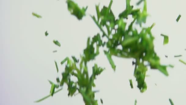 Chopped parsley herbs are falling on the white background — Stock Video
